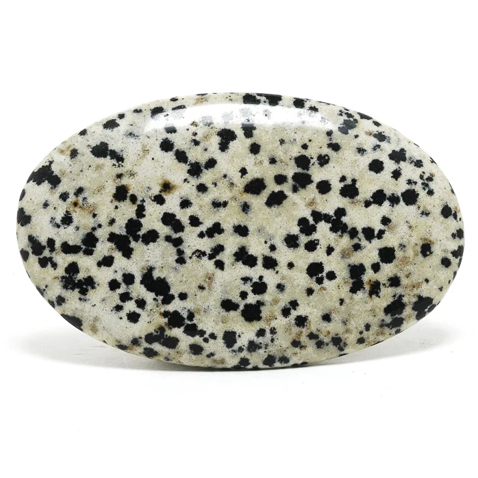 جاسپر دالماسی | DALMATIAN JASPER