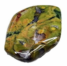 جاسپر جنگل بارانی | RAINFOREST JASPER