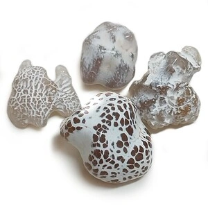 عقیق پوست ماری Snakeskin Agate