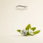 گوشواره نقره زنانه گاردن (ساخته شده از صدف و نقره)