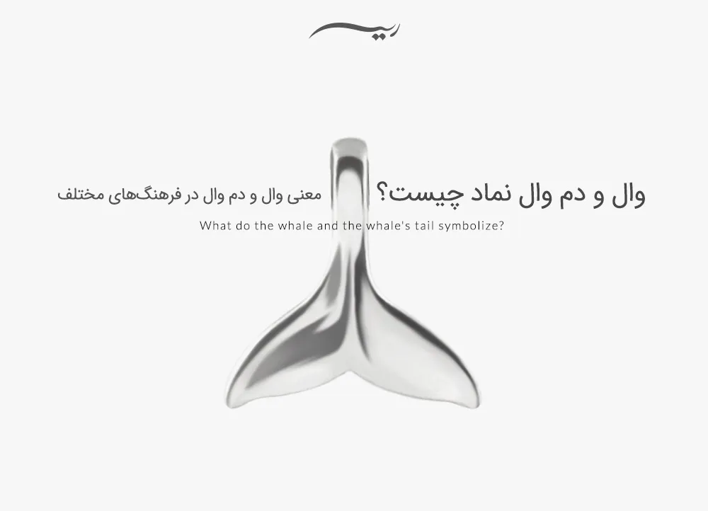 وال و دم وال نماد چیست؟ معنی وال و دم وال در فرهنگ‌های مختلف